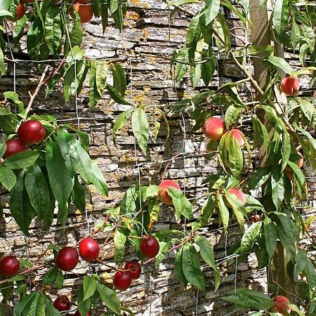 The Old Rectory Bed & Breakfast Boscastle Exterior photo